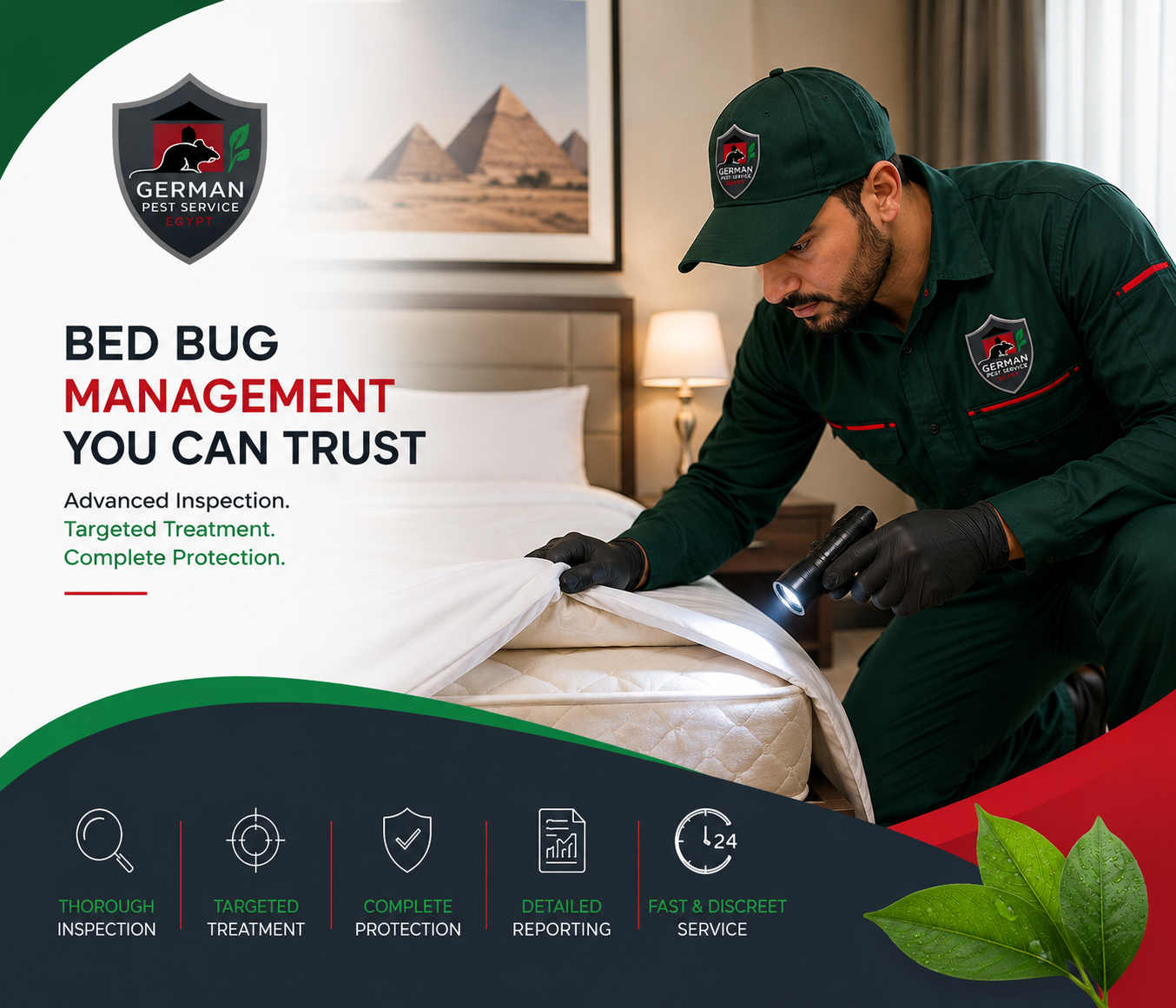 Bed Bug Treatment