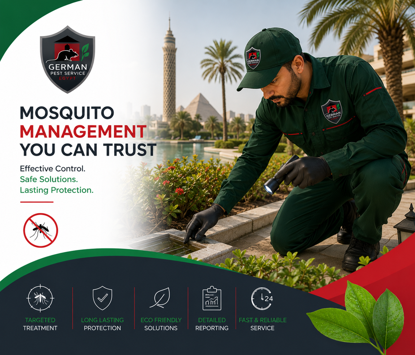 Mosquito Control